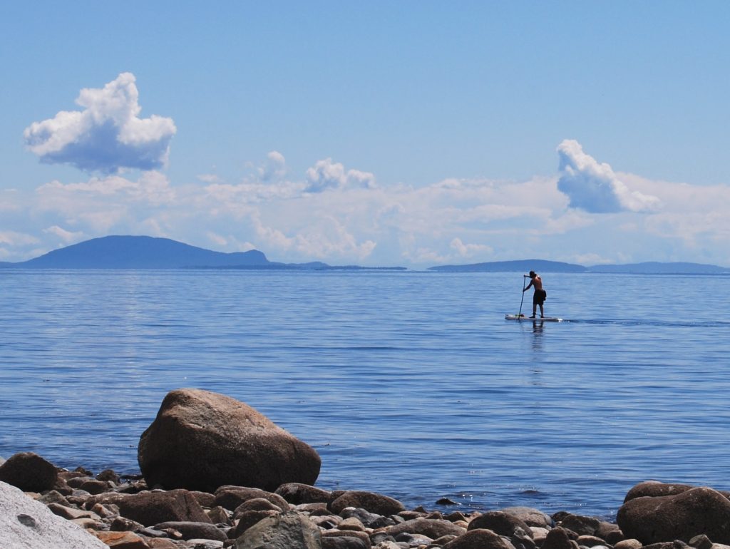 types of stand-up paddleboard