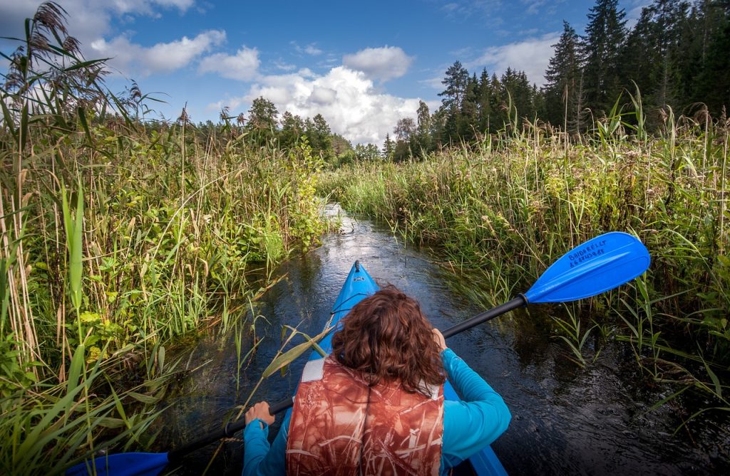 is kayaking safe from sharks