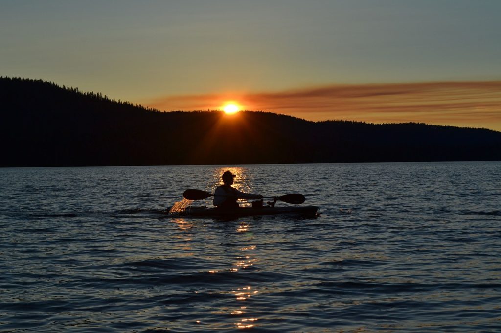 Kayak and shark encounter