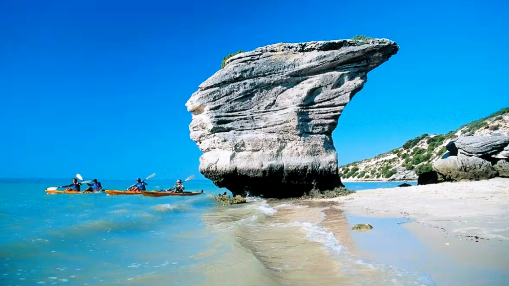 sea kayaking in the west coast national park