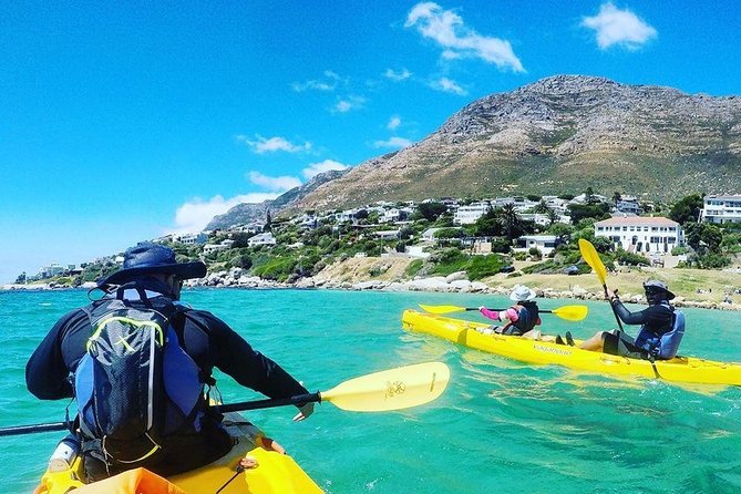 kayaking to penguins in simonstown