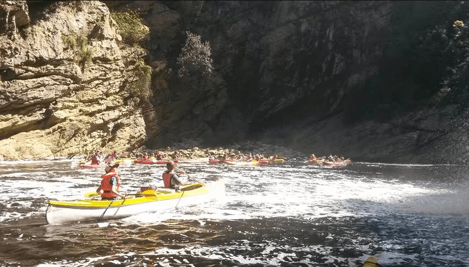 kayaking in Wilderness south africa