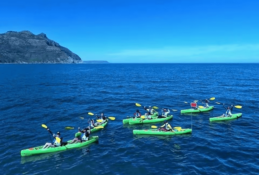 sea kayaking tour hout bay cape town